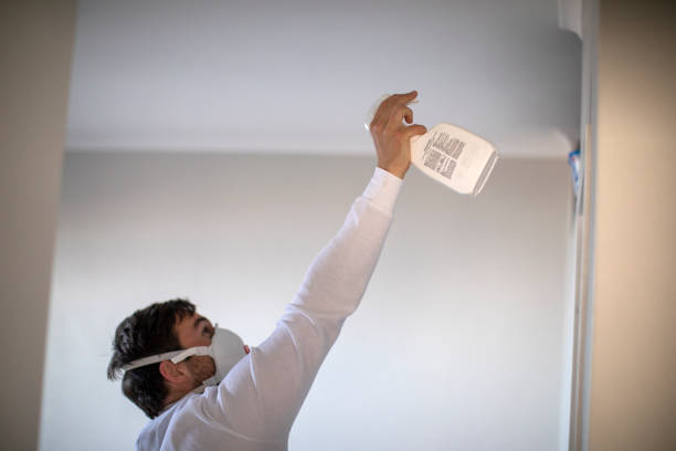 Trusted Albion, IN Mold Removal Experts