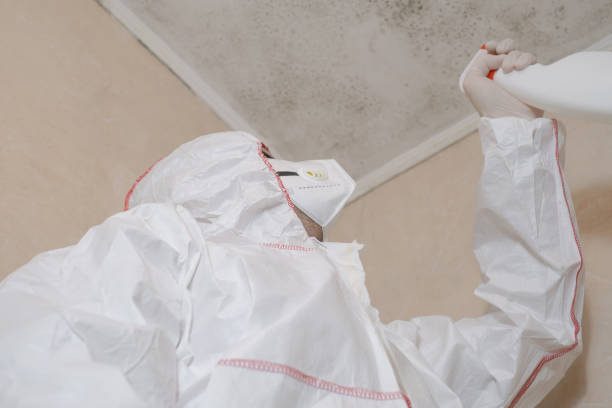 Best Toxic Mold Removal  in Albion, IN